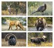 Wildlife theme 2 month in view Executivel Calendar no. 3213 monthly images 2024