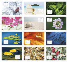 Simplicity Large Desk Promotional Calendar 