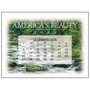 America s Beauty Desk Promotional Calendar