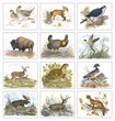 Wildlife Trek Art Calendar