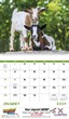 2024 Promotional Calendar baby farm animals open view
