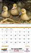 2024 Promotional Calendar baby farm animals open view