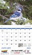 Birds of North America Promo Calendar, Item # 7236 open view image