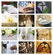 Catholic Faith calendar item 7254 monthly images