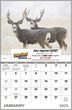 2024 Promotional Calendars