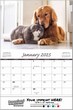 Cats & Dogs Wall Calendar 2024 - Stapled