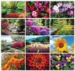 Garden Splendor Wall Calendar 2024 - Stapled