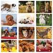 2024 Promotional calendar Puppies & Kittens, Item BC-210 monthly images