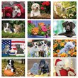 2024 Promotional calendar Puppies & Kittens, Item BC-210 monthly images