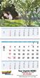 2026 Custom Promotional Calendars