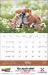 2024 Puppies Animal Calendar, Stapled Item CC-401 Open View Image