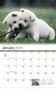 2024 Promotional Wall Calendars