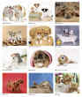 2024 Cute Puppies Promotional wall calendar Item JC-203 monthly images