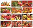 2024 Promotional wall calendar