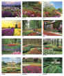 Garden Views desktop promo calendar item # JC-704 monthly images
