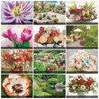 Flowers and Gardens Calendar Stapled 2024