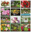 Flowers and Gardens Calendar Stapled 2024