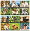 Dogs themed calendar monthly images Item MC-0135