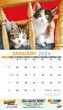 Kittens Calendar 2024