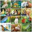 Pets Calendar Stapled 2024