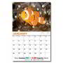 Ocean creatures promotional calendar