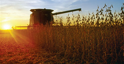 Custom Printed Agriculture Calendars For Business Promotions