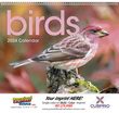 Birds Promotional Calendar  thumbnail