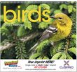 Birds Promotional Calendar  thumbnail