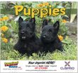 Puppies Promotional Calendar  thumbnail