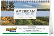 American Splendor Promotional Desk Calendar  thumbnail