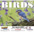 Birds of North America Calendar Spiral thumbnail