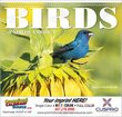 Birds of North America Calendar Spiral thumbnail