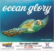 Ocean Glory Promotional Calendar  Stapled thumbnail