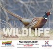 Wildlife Portraits Promotional Calendar  Stapled thumbnail