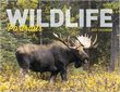 Wildlife Portraits Calendar with Window Cutout Ad thumbnail