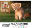 Baby Animals Wall Calendar - Stitched thumbnail