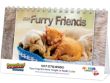 Cats & Dogs Animal Pets Desk Calendar  thumbnail