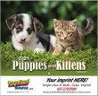 Puppies & Kittens Promotional Calendar  thumbnail