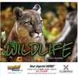 Wildlife Stapled Calendar 2024 thumbnail