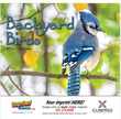 Backyard Birds Promotional Calendar  Stapled thumbnail