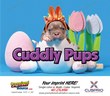 Puppies Animal Calendar 2024 - Stapled thumbnail