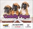 Puppies Animal Calendar 2025 - Stapled thumbnail