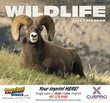 Wildlife Promotional Calendar  - Stapled thumbnail