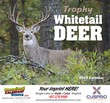 Whitetail Deer Wall Calendar  Stapled thumbnail