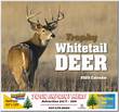 Whitetail Deer Wall Calendar  Stapled thumbnail