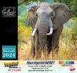 International Wildlife Calendar Stapled  thumbnail