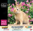 Pets Value Calendar Stapled thumbnail