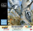 Garden Birds Value Calendar  thumbnail