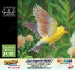 Garden Birds Customized Calendar thumbnail