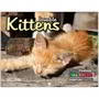 Kittens Promotional Mini Calendar thumbnail